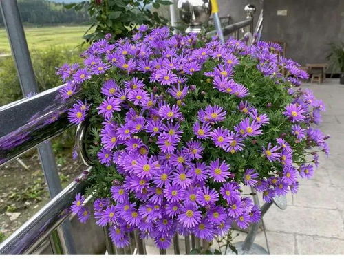 养护技巧大公开