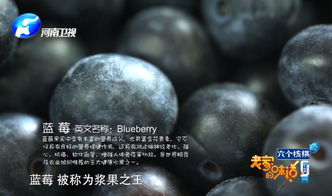 揭秘蓝莓：果中瑰宝，籽粒可食之谜！