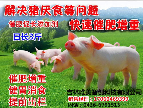 猪增重饲料中，哪种中草药添加剂效果最好？