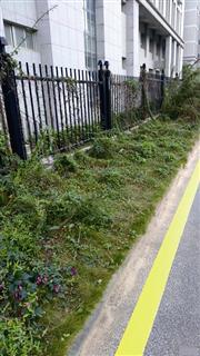 喷完药，要通风
