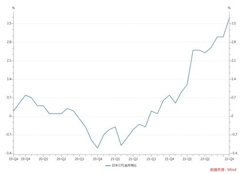 雪松价格受啥影响？