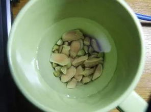 催芽技巧，你得知道！