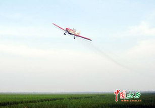 初教6飞机也Neng喷农药