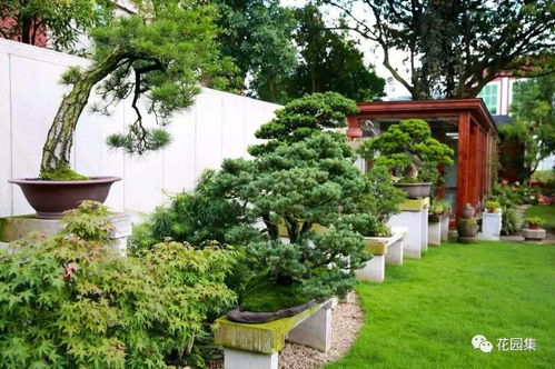 庭院私享，配置秘诀大公开