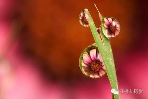 水珠：心情的小秘密