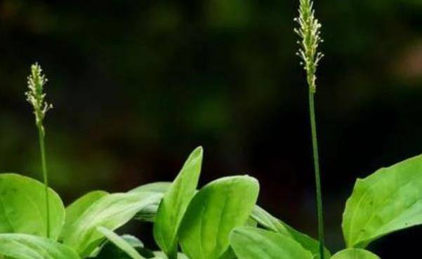 为什么价格差这么多？