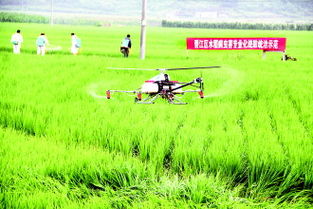 防治技术， 多管齐下