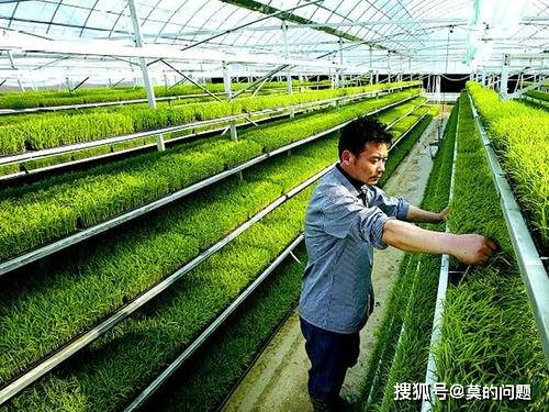 除草剂，选对是关键