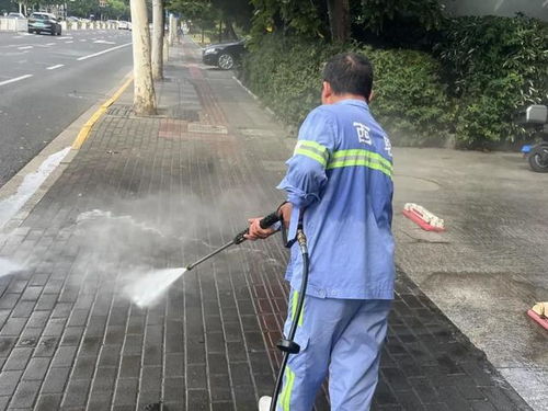 夏季鸡舍饮水管理：确保清洁、充足、防暑降温