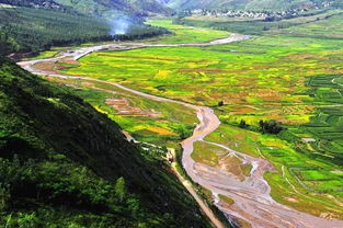 方案三：选择耐旱品种， 抗风耐寒