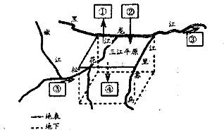 农业灌溉：揭秘影响水循环的关键因素