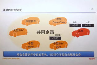 高弗甲维盐的未来