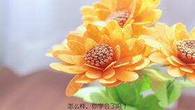 一、花卉标签，给植物起个名字吧！