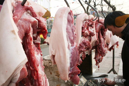 日本生食猪肉标准：严格选育