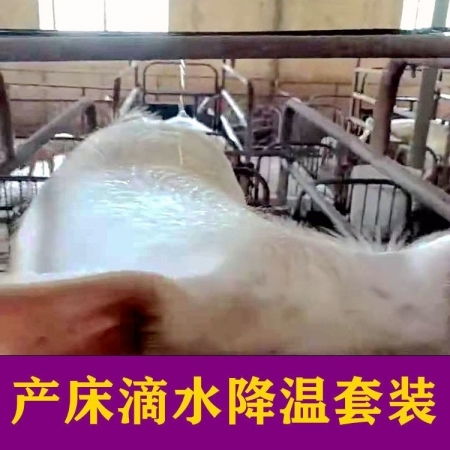 猪场喷水降温系统，高效节能养殖新选择