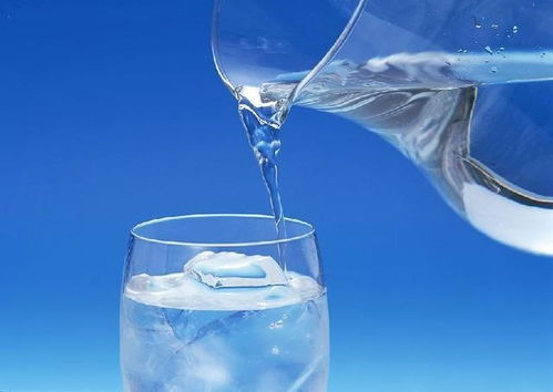 “碰碰香水养秘籍，浇水技巧一学就会！”
