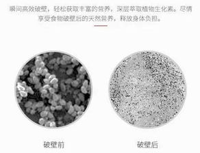 松花粉破壁与不破壁，区别在于细胞壁是否被破坏