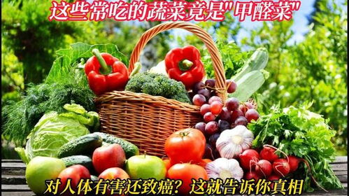 硼砂：传说中的驱鼠神器