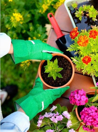 1. 花卉的胃口，你了解吗？