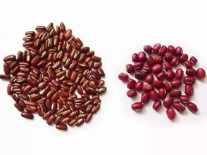 反常识现象：干旱反而提升品质