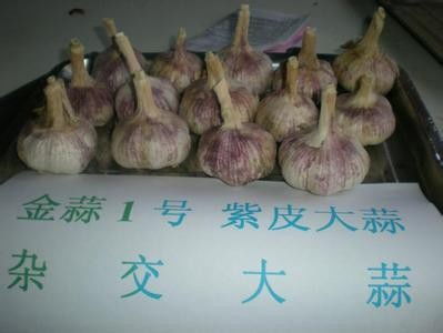 冷库存放大蒜的药剂选择