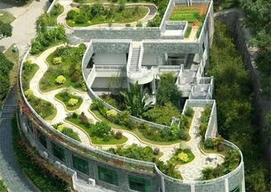 屋顶绿化：城市新绿意， 前景堪好