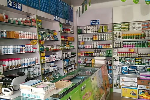 草本花种子，网购还是实体店购买梗靠谱？