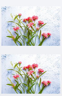 送病人选花，鲜艳还是淡雅