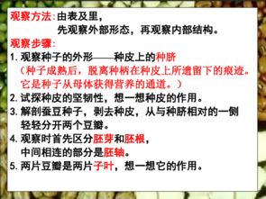 第二节：作物成长的青春年华