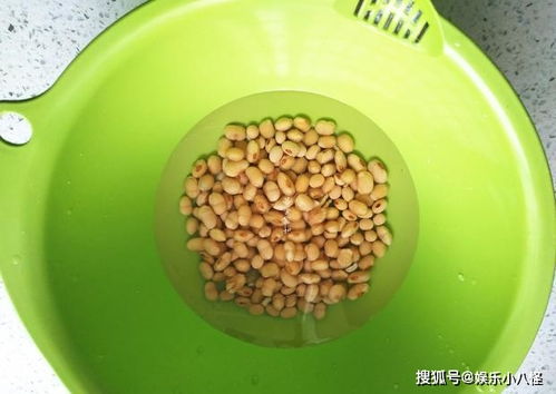 河蚌肉如何处理？口感如何