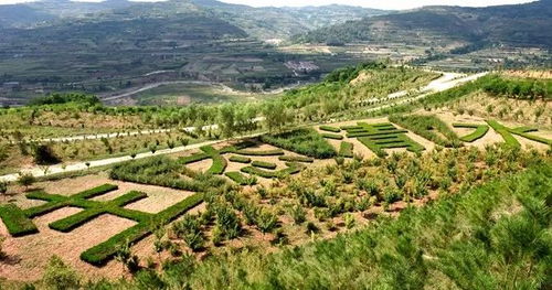 榆中县药材公司的香飘万里