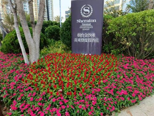 规模适度， 绿化部门有妙招