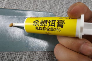 吡虫啉和硼酸哪个杀蟑螂更有效？氟蚁腙与吡虫啉灭蟑螂效果哪个更佳？