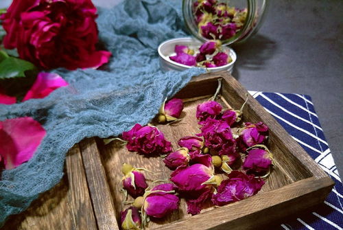 玫瑰花茶，花开的秘密