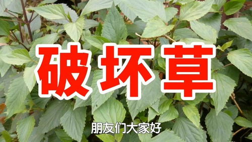 特别提醒：个人防护不可少