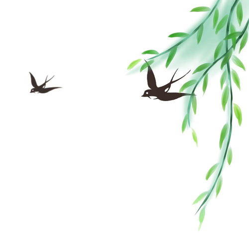 柳絮又称杨花，你知道它们为何飘落如雪吗