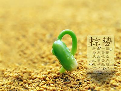 惊蛰：春雷乍动