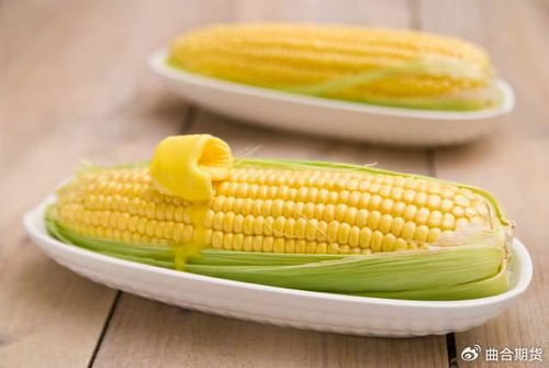 巴西玉米种植与收获时间是什么具体生长周期和收成时间是怎样的
