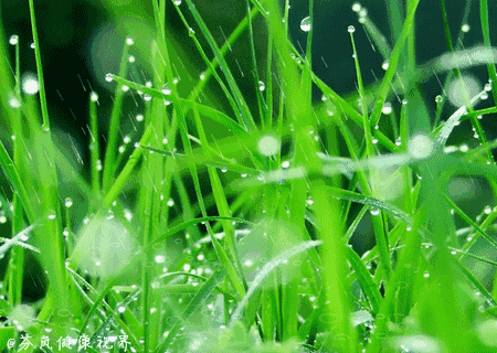 六月的天气， 热得让人想找个凉快的地方躲起来