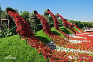 哪些区域是罕见花卉聚集地？