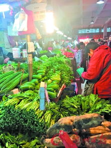 蔬菜大量收购，农药公司忙不停