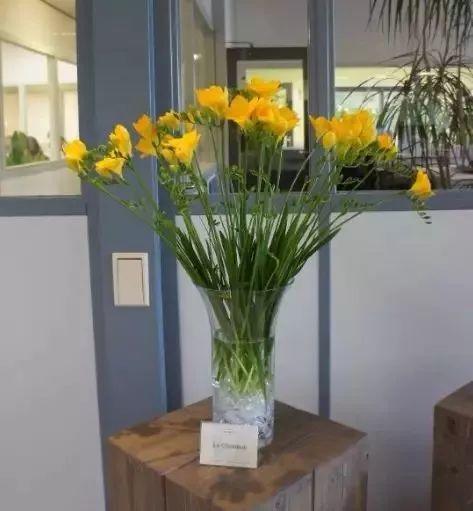 消毒：保护花儿的平安