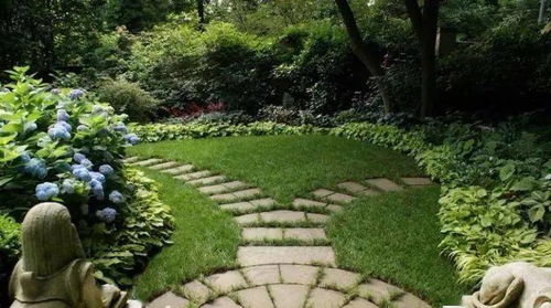 北方冬季庭院花园里也嫩绿意盎然！