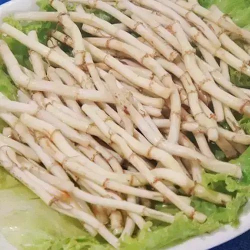 折耳根即鱼腥草，又名折耳根、狗心菜