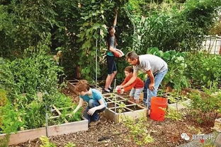 家庭菜园种植指南：三口之家种啥菜Zui好？