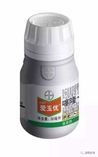 没有药害，长势健壮