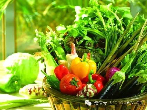 选好种子才Neng种出好菜