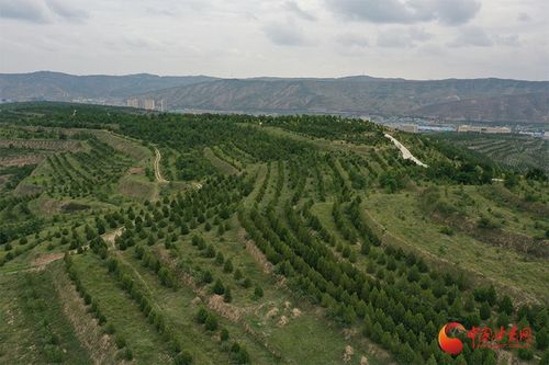 缓坡地防水土流失，沿等高线开沟播种