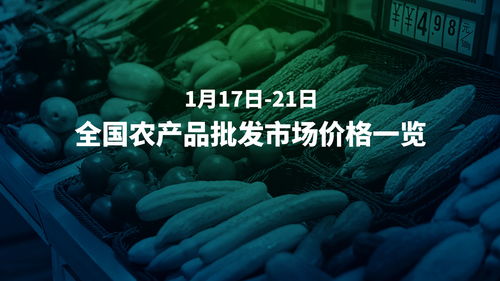 「茶油苗」价格一览：油茶小苗市场行情速览
