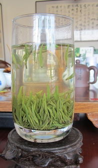 绿茶品种繁多，你知道都有哪些吗